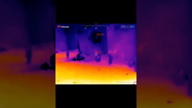 Тепловизор Xinfrared HX09(X2). Там, где ходит кошка, нет длиннохвостых джунгариков смотреть онлайн