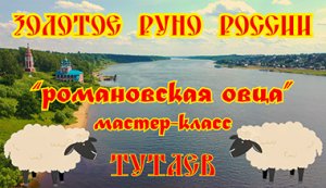 Тутаев. Ярославская область."Романовская овца - золотое руно России."  Мастер-класс по прядению.