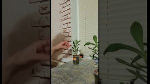 Обрезка адениума