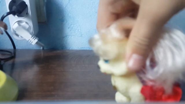 Парад топ-модели СОБАЧКИ ТОФФИ. смотреть онлайн