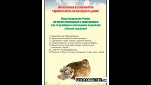 ‼️ФРАНШИЗА‼️ДОМАШНЯЯ ПЕРЕПЕЛИНАЯ ФЕРМА ✅