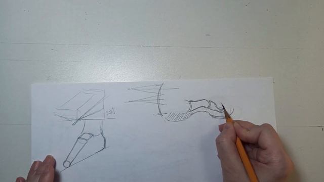 Стопа: анатомия и построение смотреть онлайн