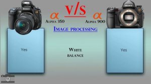 Sony Alpha 350 vs Sony Alpha 900