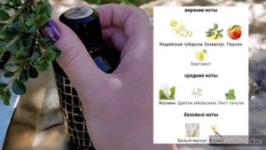 моё парфюмерное разочарование. Mancera Wild PYTHON