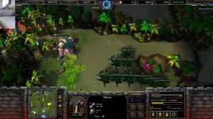 Warcraft 3: Island Defense Complete Beginner's Guide