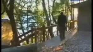 Чайка по имени Джонатан Левингстон