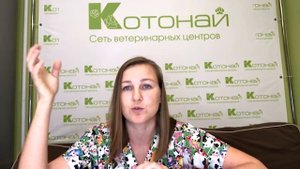 Заворот век у собак и кошек. Что делать?