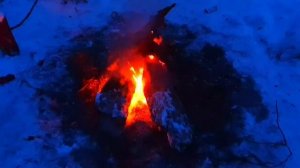 25.?ВЫЖИВАНИЕ ЗИМОЙ В ЛЕСУ _ В ДИКОЙ ПРИРОДЕ БЕЗ НИЧЕГО _ ЕДА В МОРОЗ _ МАЛИНОВЫЙ ЧАЙ _ БУШКРАФТ