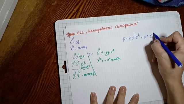 урок 21 "Почему у здоровых родителей может родиться ребёнок с гемофилией" смотреть онлайн