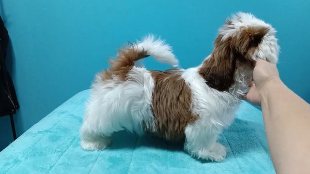 10 декабря 2023 г. смотреть онлайн