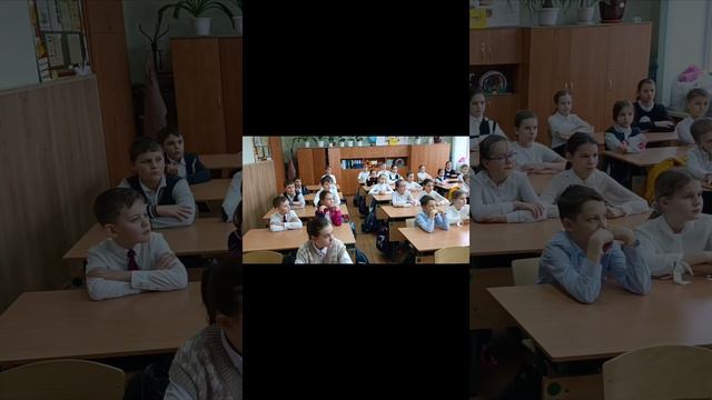 Школьные времена! Ромин 4а весь класс помогает в приют домашних животных! смотреть онлайн