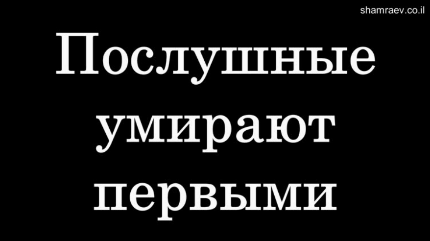 Послушные умирают первыми