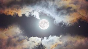 Совместимость мужчины Стрельца и женщины Рак