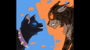 Топ 6 самых странных шиппов в котах воителях