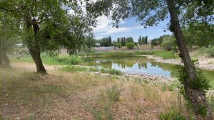 04.06.24 Энергодар Россия