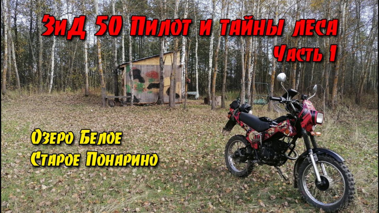 ЗиД 50 Пилот и тайны леса. Часть 1.