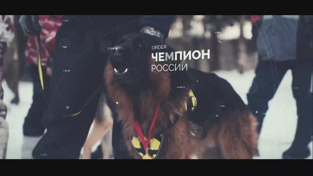 Прикладная защита ???