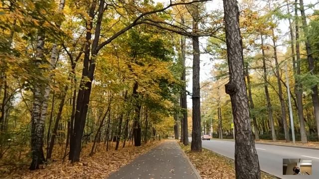 Дочь лесного магната взяла техничкой многодетную маму, а едва она пришла к её мужу, офис вздрогнул смотреть онлайн