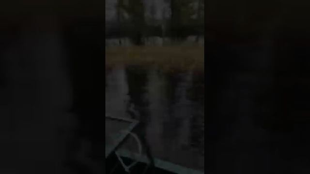 Вездеход Добрыня Транспортер 30 л.с. по болоту смотреть онлайн