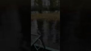 Вездеход Добрыня Транспортер 30 л.с. по болоту