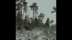 мотобуксировщик ураган-медведь с толкачем(охота,рыбалка,путешествие)