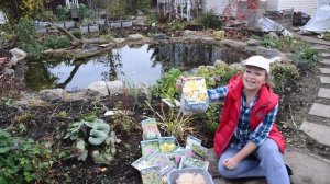 Луковичные: мой выбор на весну