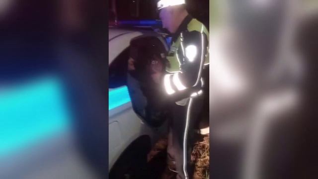 выпуск места происшествия киров