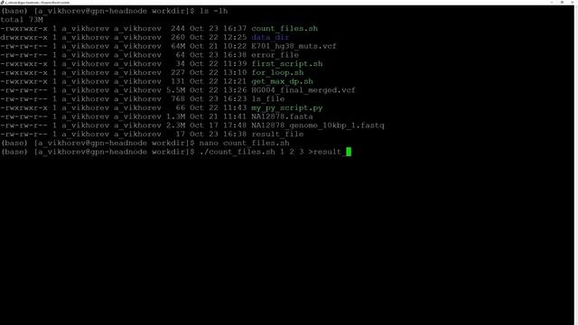 LINUX13. Как управлять исполнением скриптов в Linux