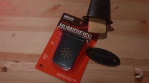 Уход за гитарой. Обзор гитарных увлажнителей D’Addario с Павлом Деснёвым.
