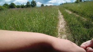 решили вместе отдохнуть и........