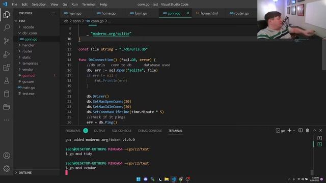 golang live coding how I start a webserver