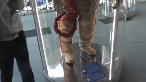 Студия " Три Богатыря" 5Б в павильоне Космос