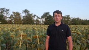 Приемы борьбы с заразихой