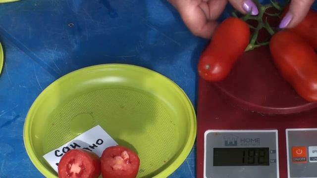 Все сорта выращены в открытом грунте! Кроме Амана Оранж. смотреть онлайн