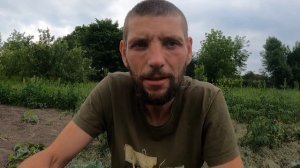 Как избавится от белокрылки на капусте