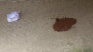 На улице насрали кучу говна