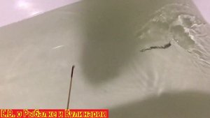 Советская блесна JURATE.Блесна СССР Юрате.Самые уловистые блесны СССР Таурагского завода.Часть 1.