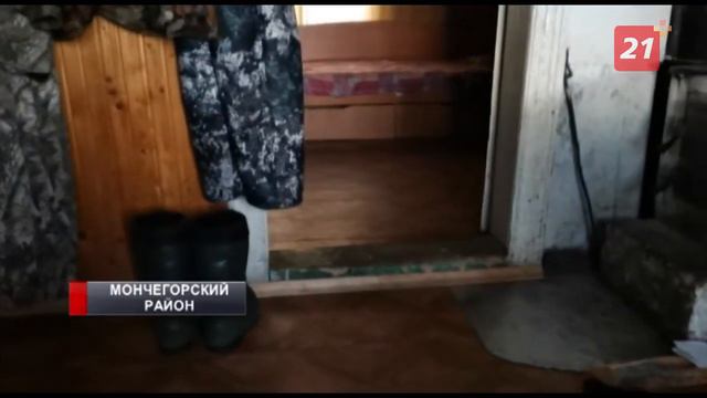 Горностай подружился с сотрудниками Лапландского заповедника смотреть онлайн