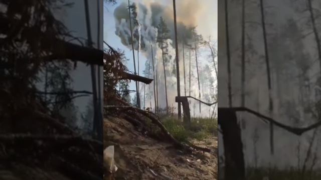 Сбитие вражеской "Бабы Яги" в лесах под Кременной.