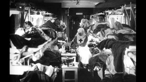 Галицийские поля