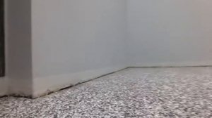 Необычное полимерное покрытие на основе эпоксидной смолы. Первая засыпка чипсами. Новосибирск.