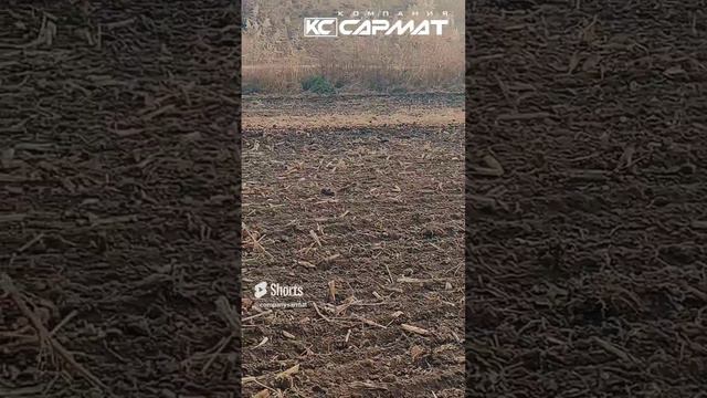 БДК-6С _СТАЛКЕР_. Испытания в поле. Отличный фон для сева. #производитель #почвообработка #борона