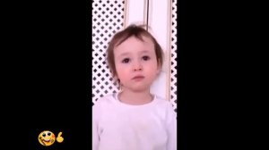 смешные ролики про детей и животных