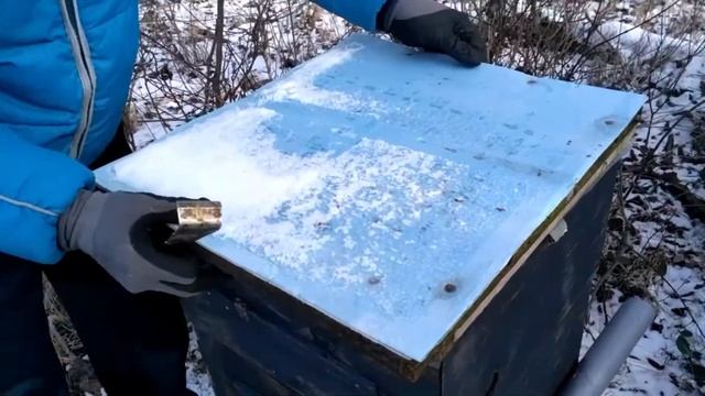 Германия. Немецкая зимовка пчел в поле.