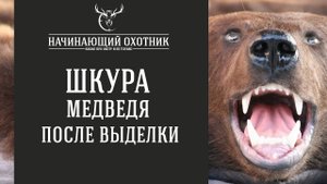 ШКУРА МЕДВЕДЯ - ОБЗОР ПОСЛЕ ВЫДЕЛКИ ШКУРЫ