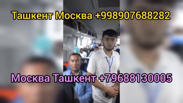 Ташкент Калуга автобус Ташкент Москва автобус #ташкентмосква