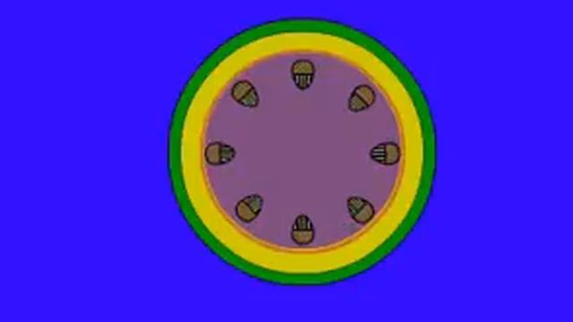 Строение стебля растения смотреть онлайн