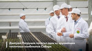 Дмитрий Патрушев посетил один из крупнейших тепличных комбинатов Сибири