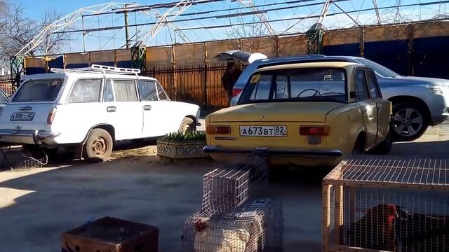 выставка.г.Феодосия.01.04.17г смотреть онлайн