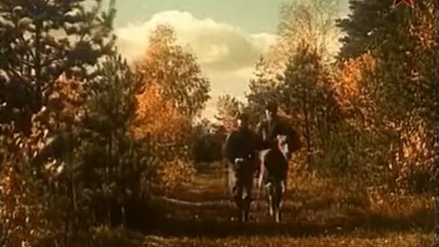 Повесть о лесном великане смотреть онлайн